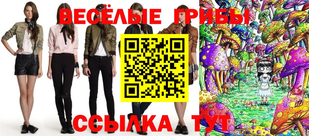 Галлюциногенные грибы GOLDEN TEACHER Ступино