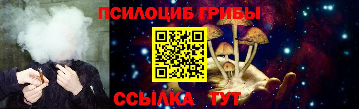 Ступино  Псилоцибиновые грибы Magic Shrooms  наркота  Вход с VPN 